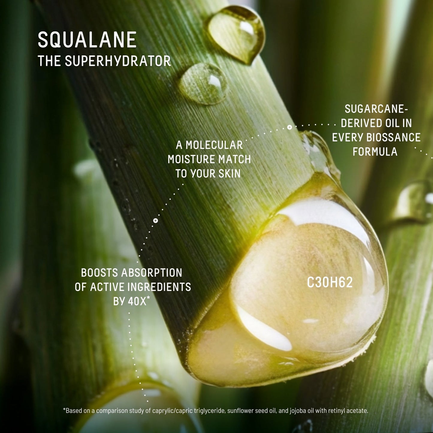 Squalane + Marine Algae Eye Cream